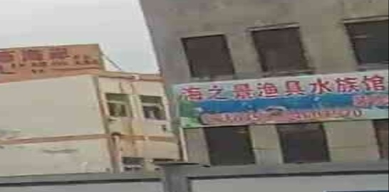 海之景渔具水族馆