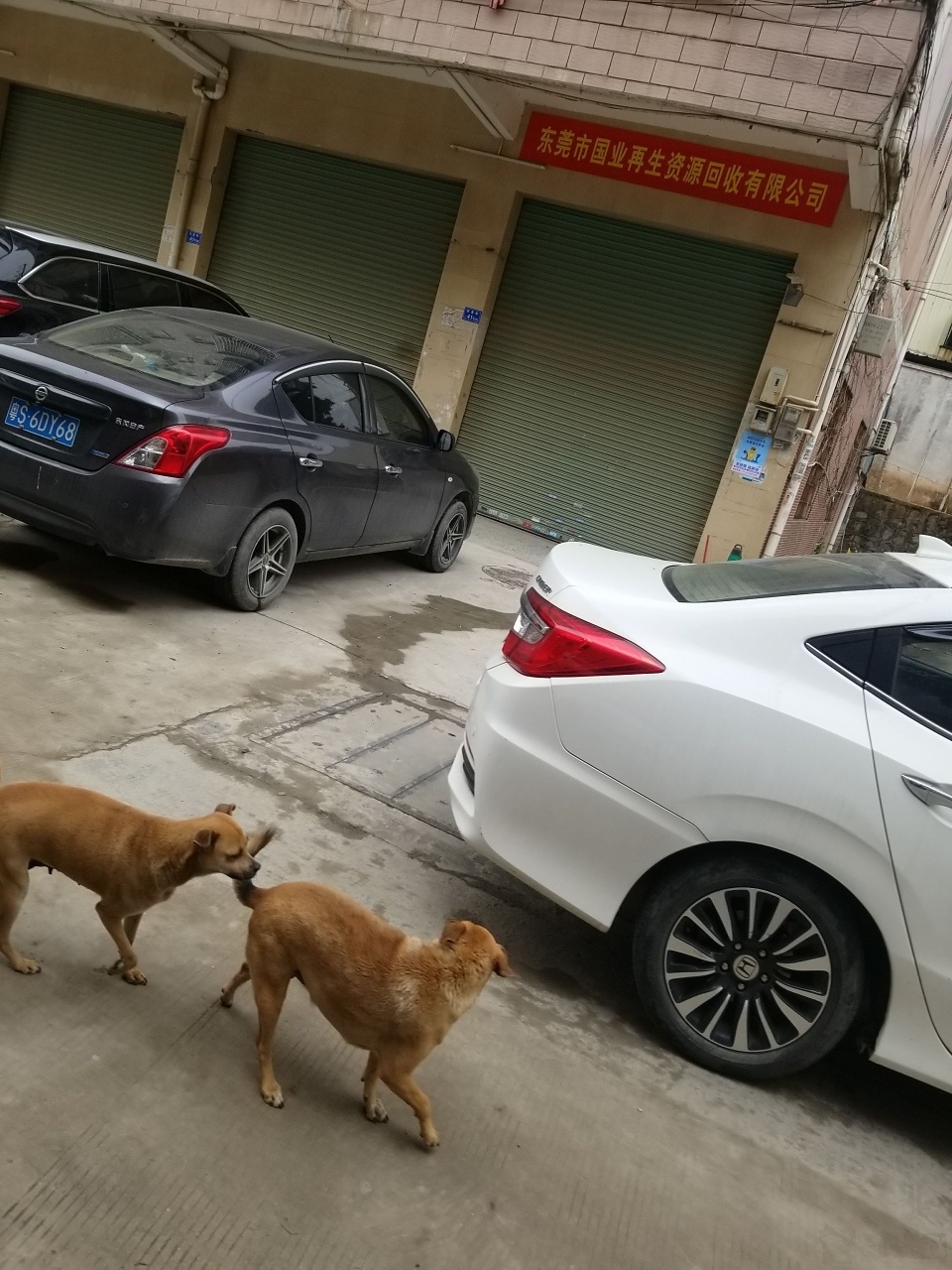 东莞市国业再生资源回收有限公司