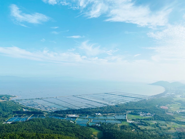 横岗顶