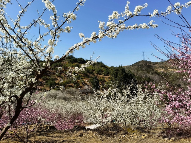 江沿村