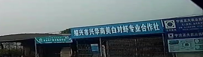 绍兴市兴华南美白对虾专业合作社