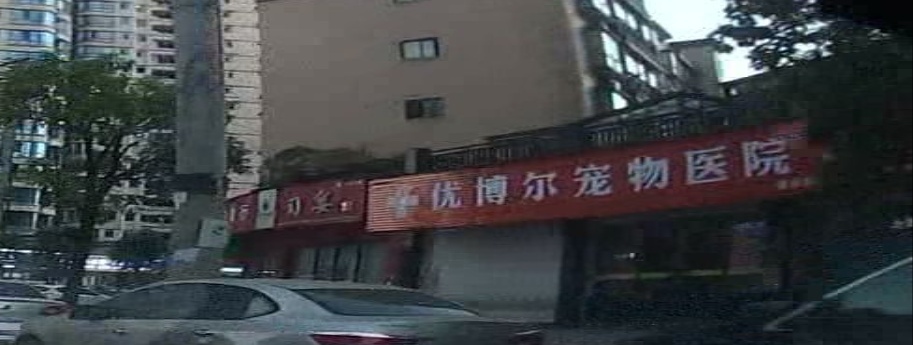 优博尔宠物医院(宜丰店)