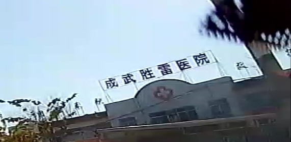 山东省菏泽市成武县胜雷医院