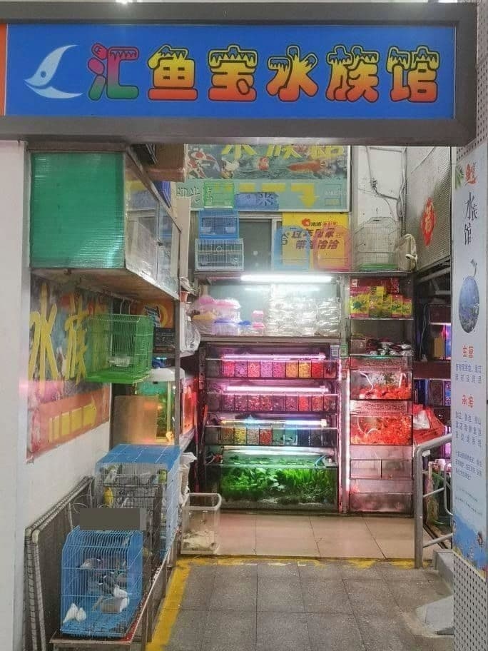 鱼宝水族馆
