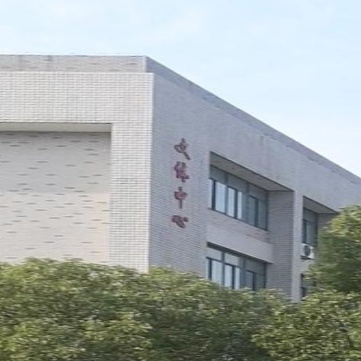 文体中新