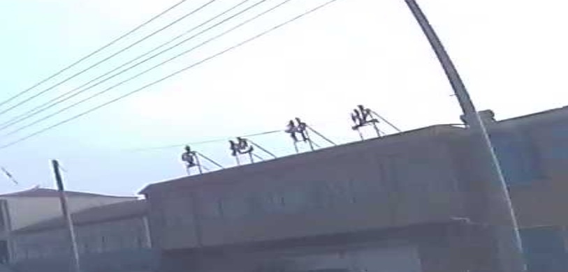 济宁市圣地种业有限公司
