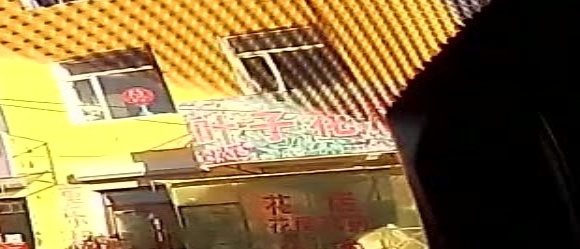 叶子花店