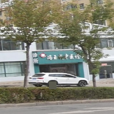 冯玉成中医诊所