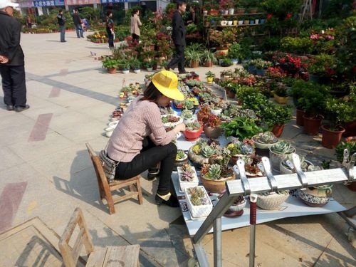 安徽州市贵贵池区花鸟市场
