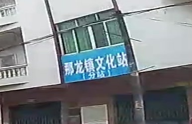 阳江市阳东区那龙镇文化站