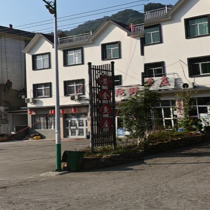 黄金鲐鱼庄