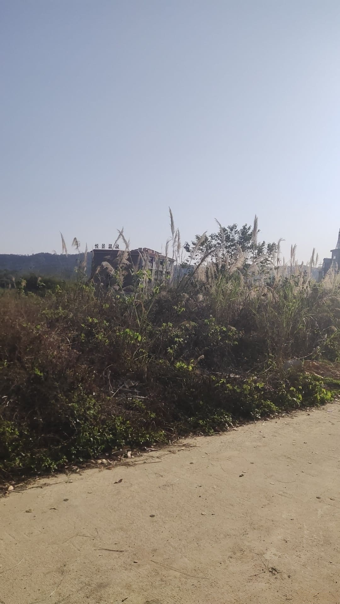 悦景至温泉
