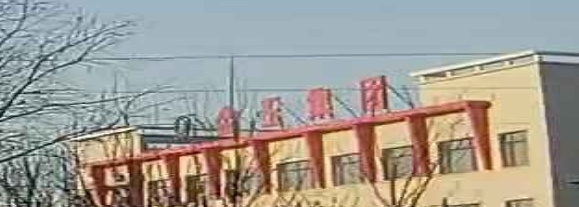 金玉集团