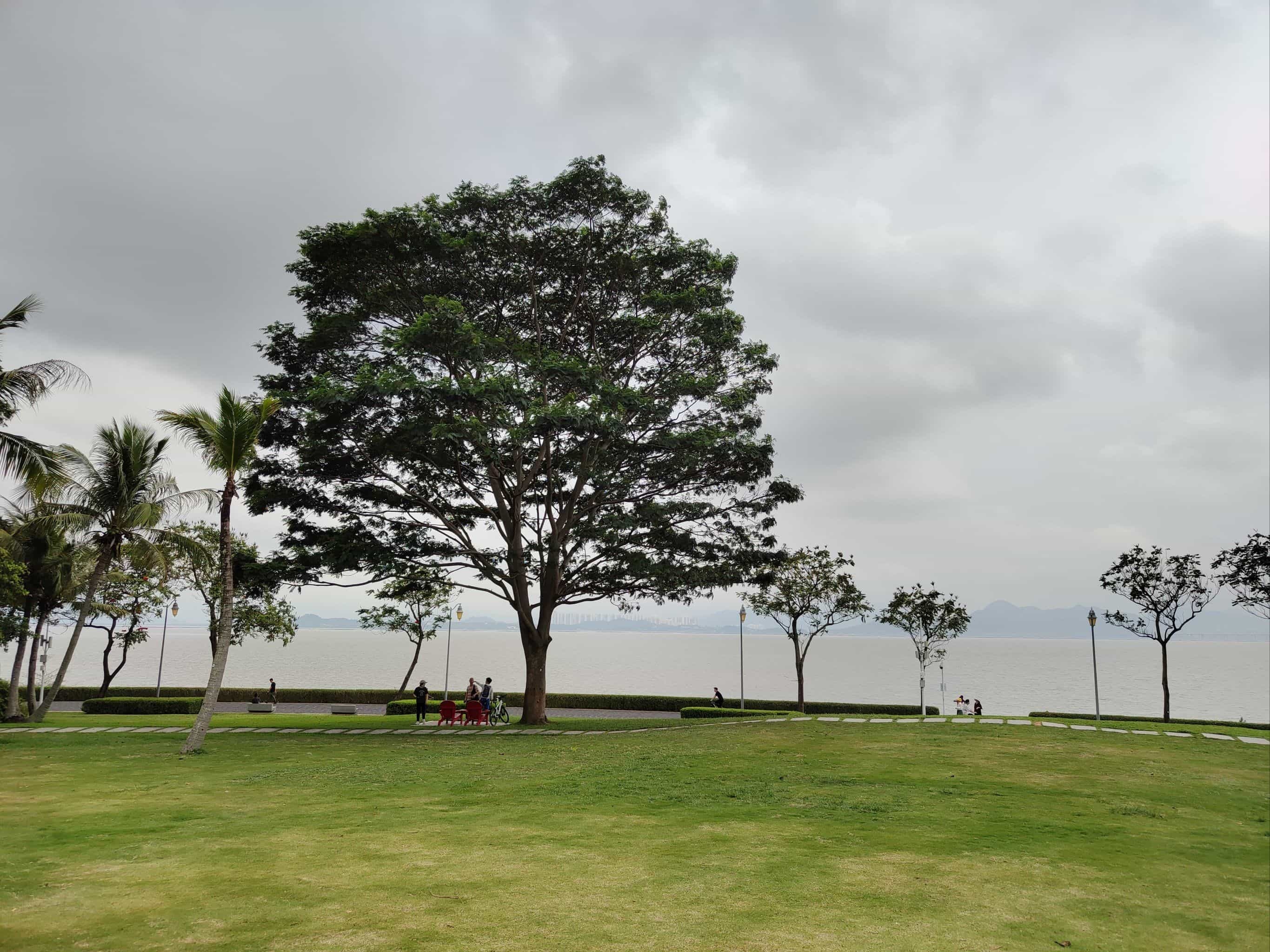 深圳湾公园-北湾鹭港