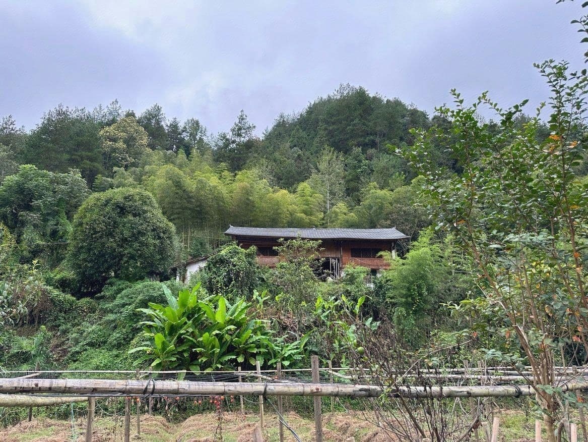 宣恩县第二小学