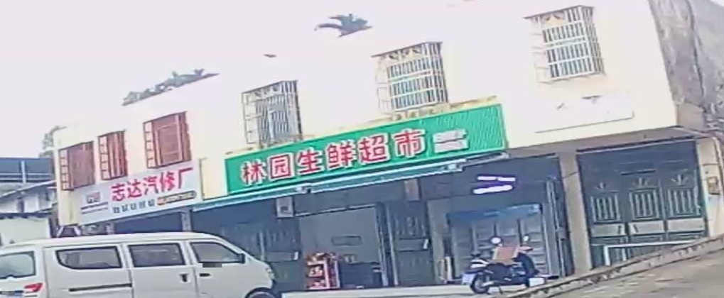 林园生鲜超市