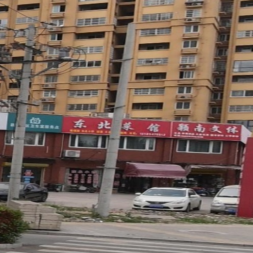 东北菜馆(颍南家园店)