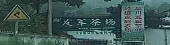 小河庙发军茶场