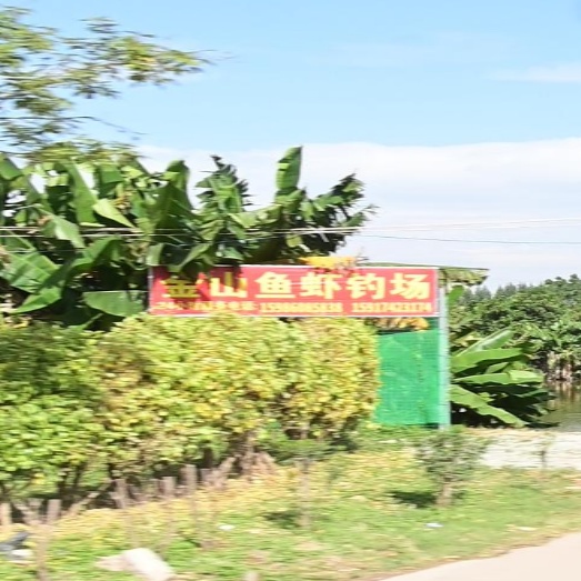 金山钓鱼场
