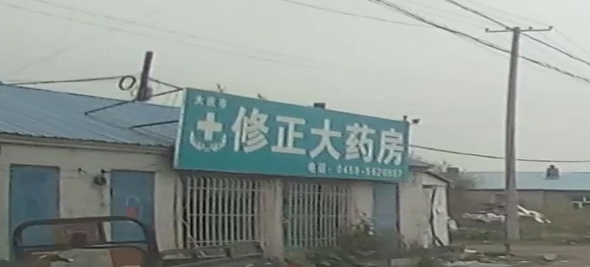 大庆市龙凤区修正大药房(外环东路店)