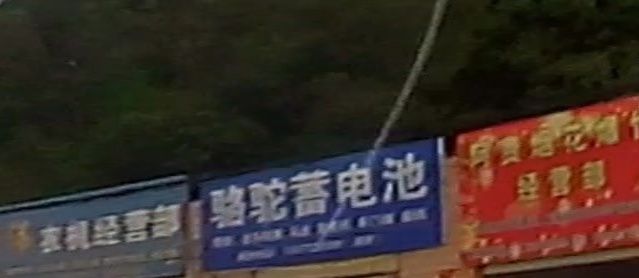 骆驼蓄电池(X306店)