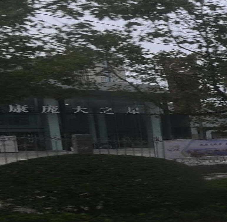 安康市庞大之星汽车销量服务有限公司