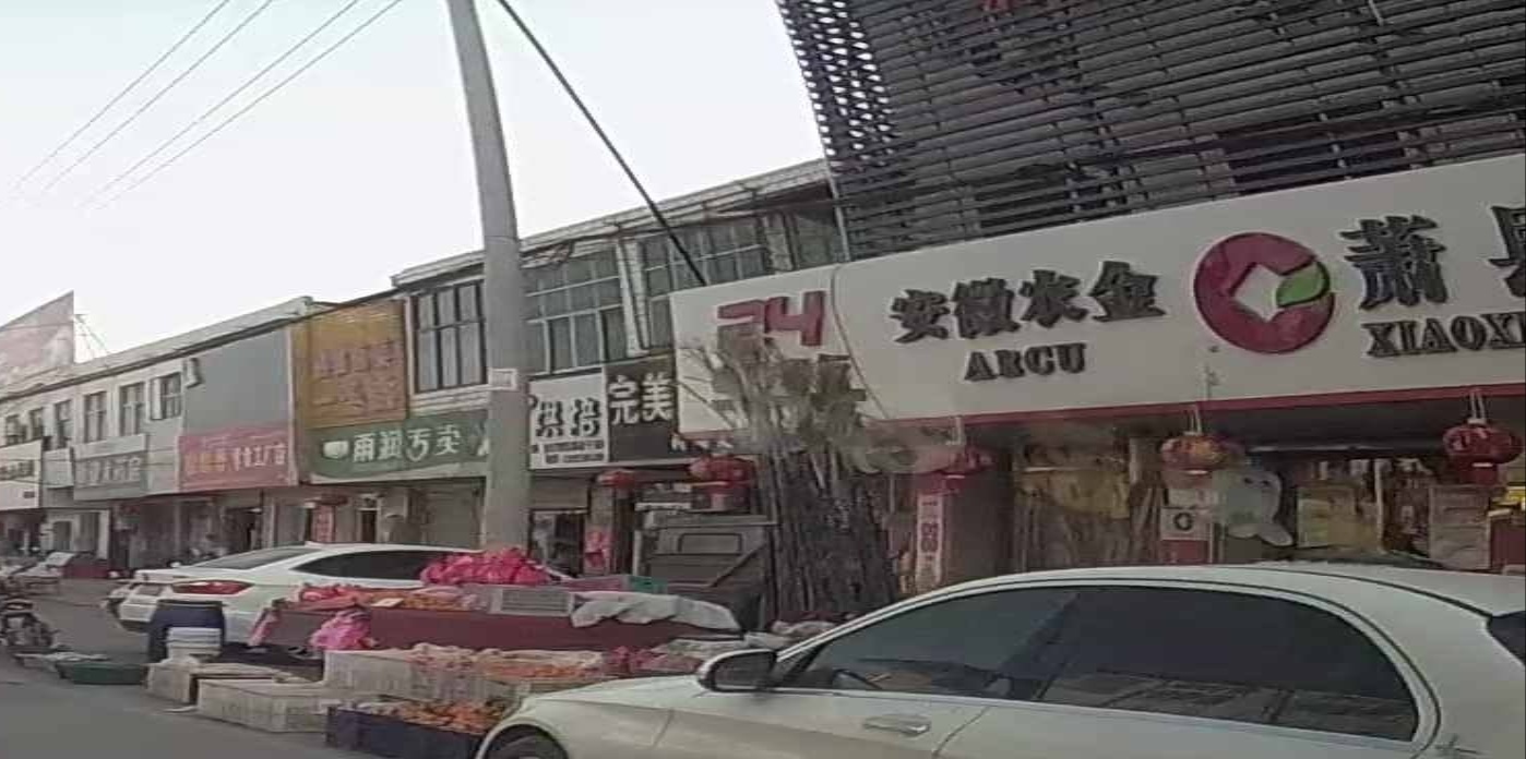 安徽龙金