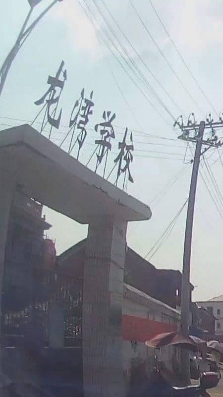 龙湾学校