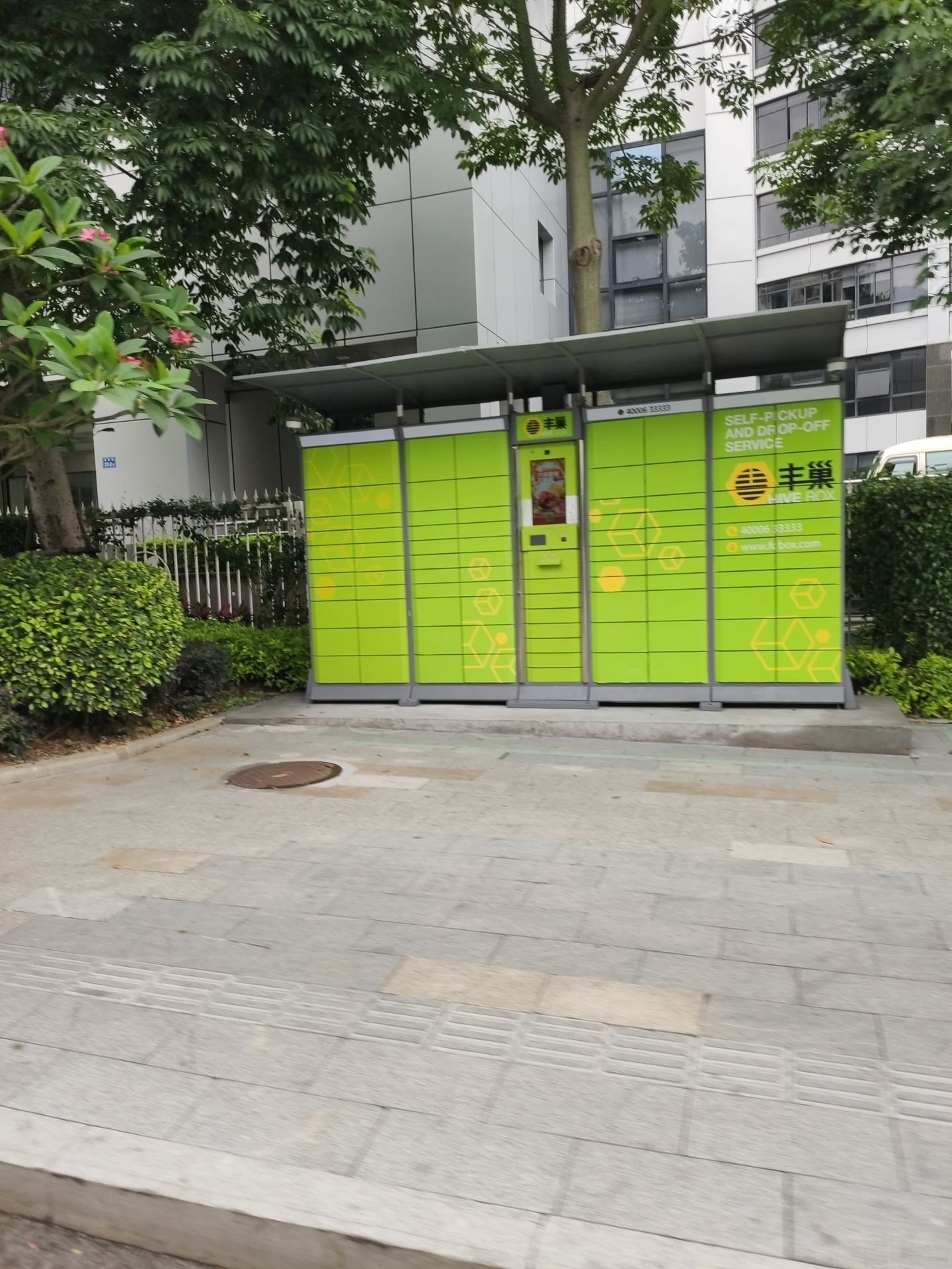 丰巢快递柜(民族路店)