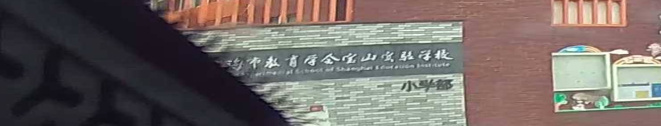 上海市教育学会宝山实验学校(小学部)