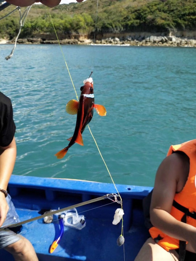 情人湾海钓