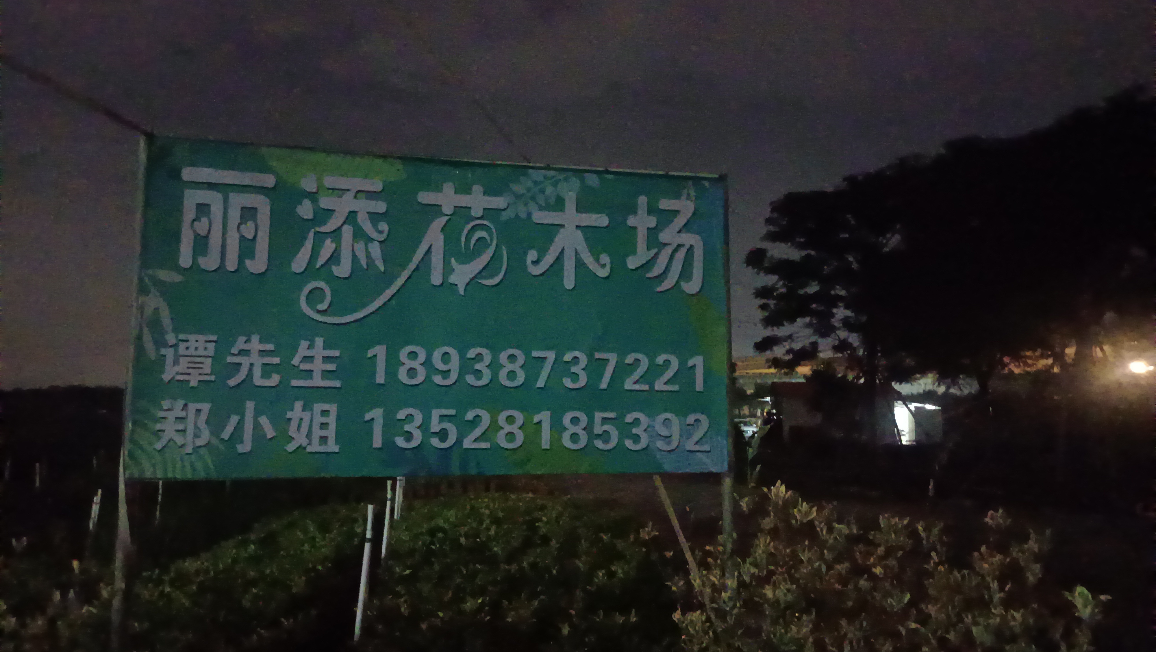 中山市丽添花木场