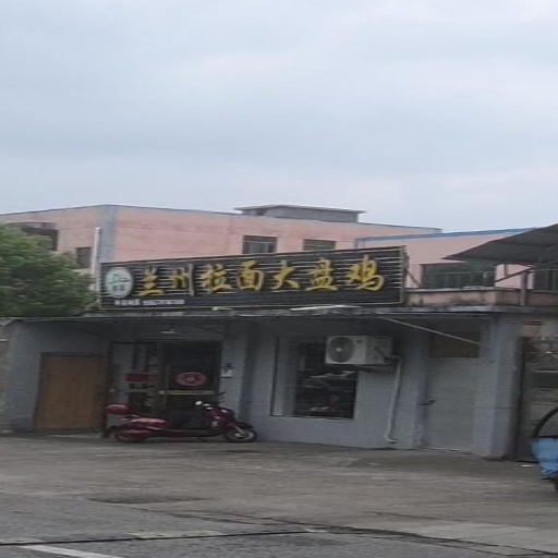 兰州拉面大盘鸡(振兴路店)