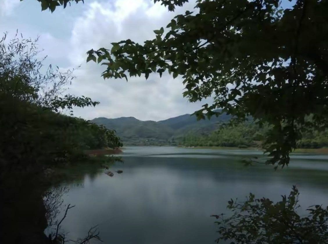 随阳天然植物园