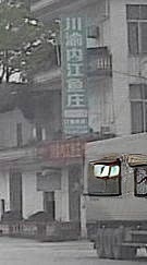 川渝内江鱼庄