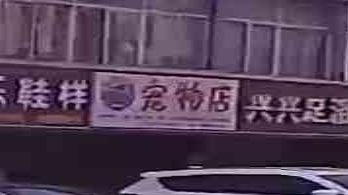 宠物店