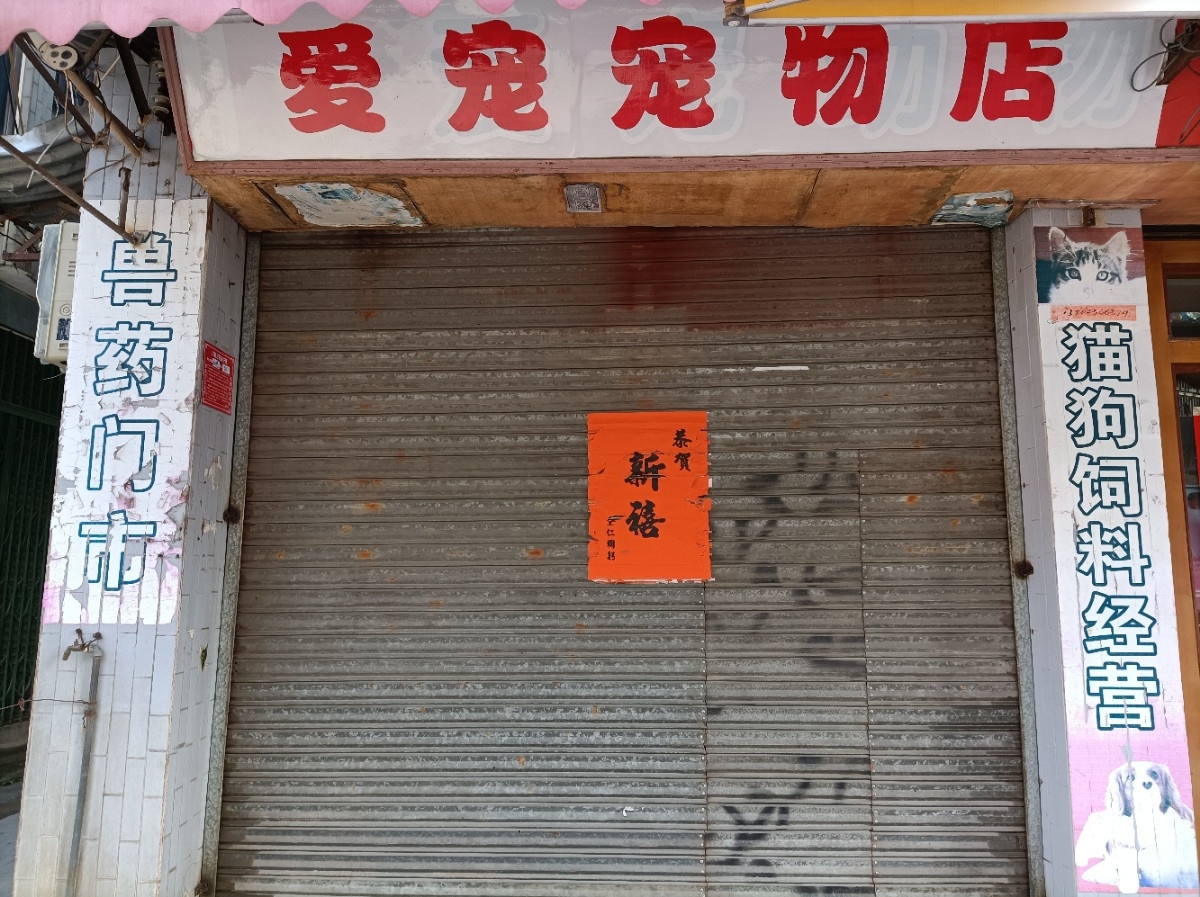 爱宠动物诊所(新马路店)