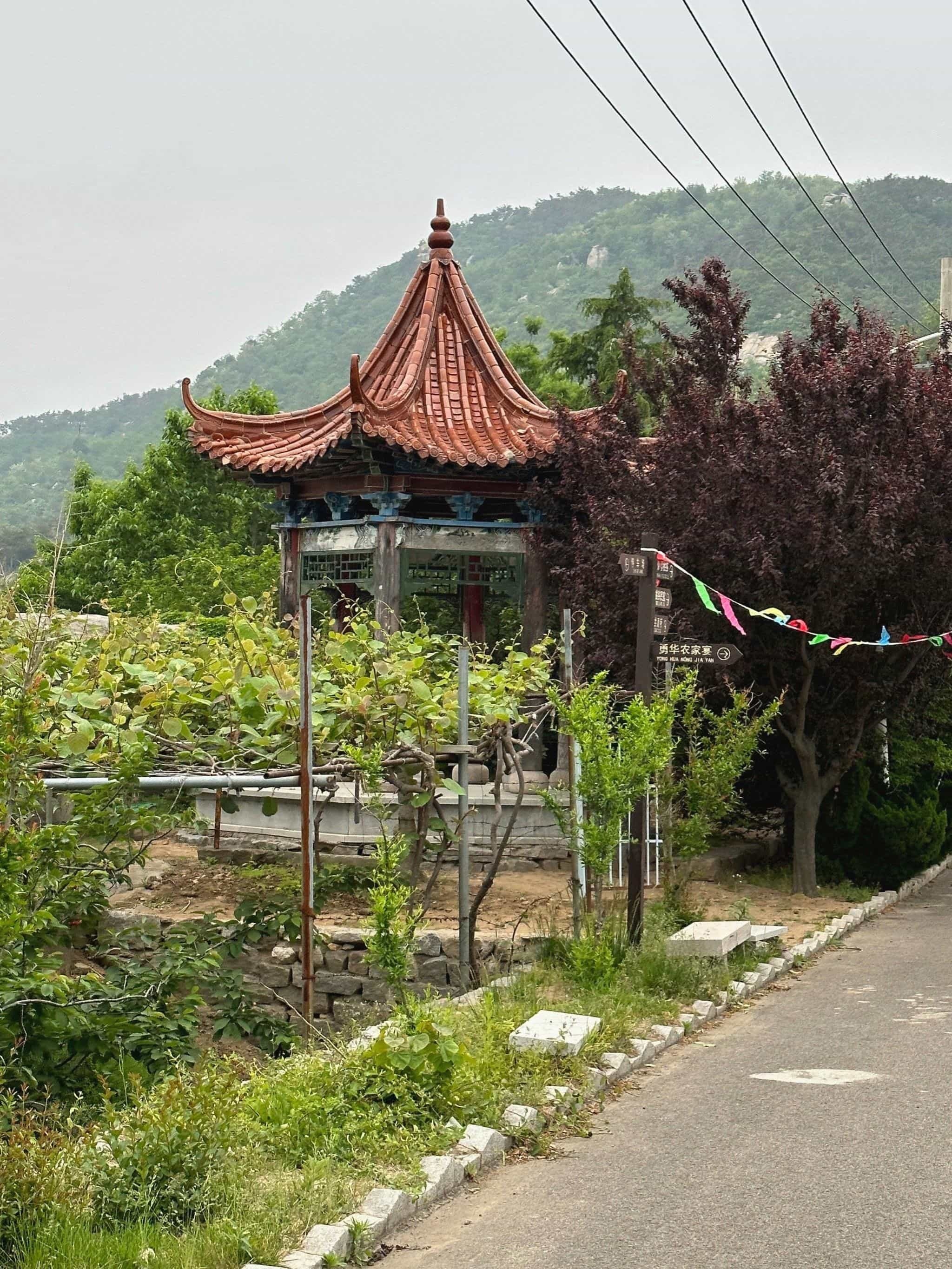 昆嵛山·映像樱桃谷