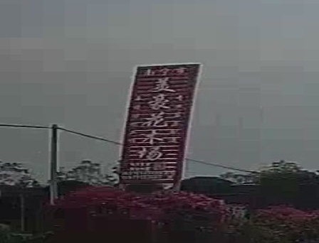 南宁市美豪花木场