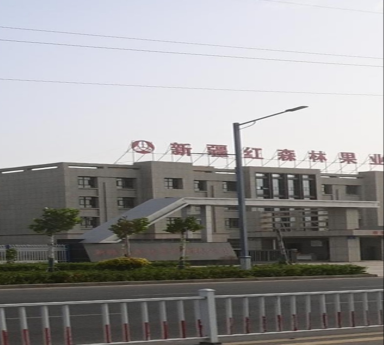 新疆红森林果业有限公司