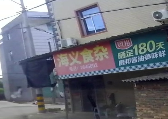 海义狮砸