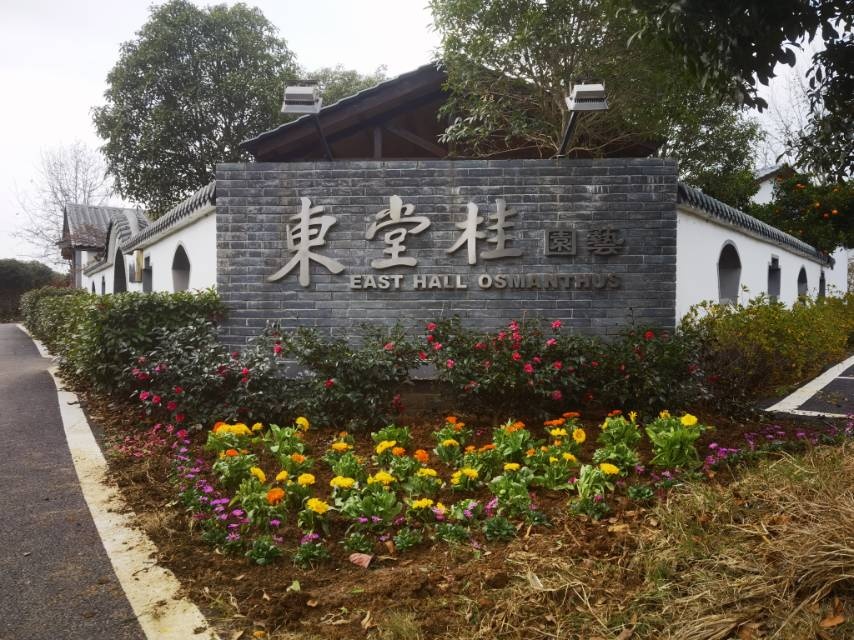 东堂桂园艺