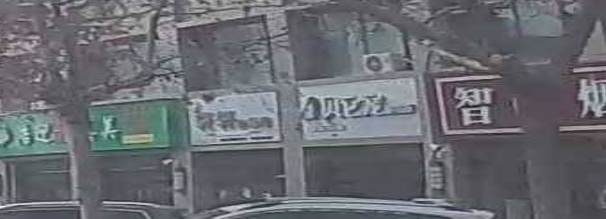 贝它宠宠物店