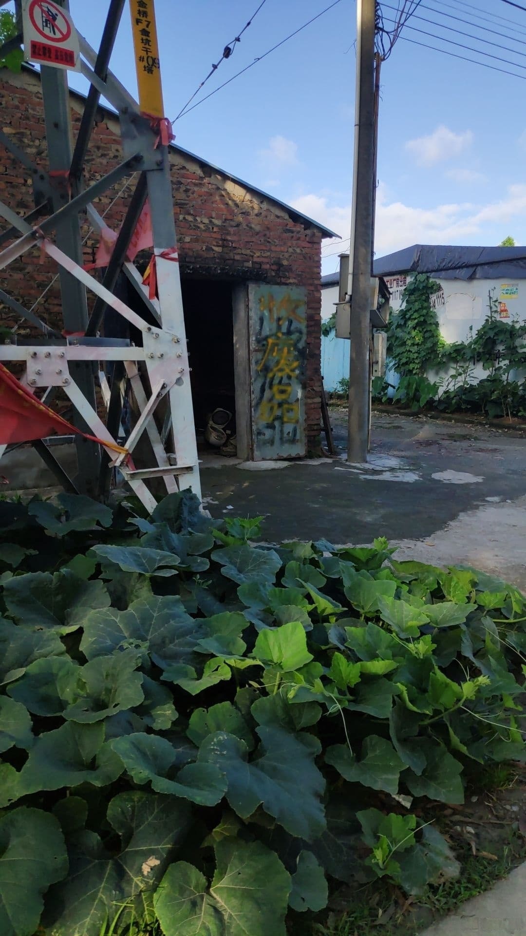广州市番禺区南村镇坑头村废品回收店