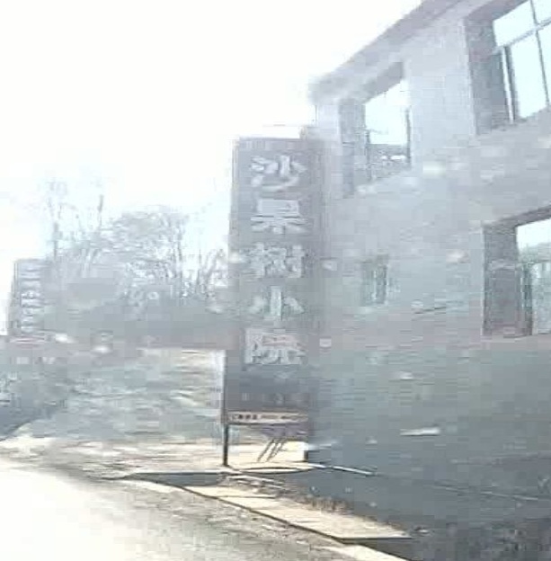 沙国树小院