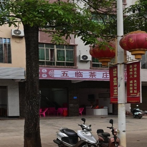 五临茶庄