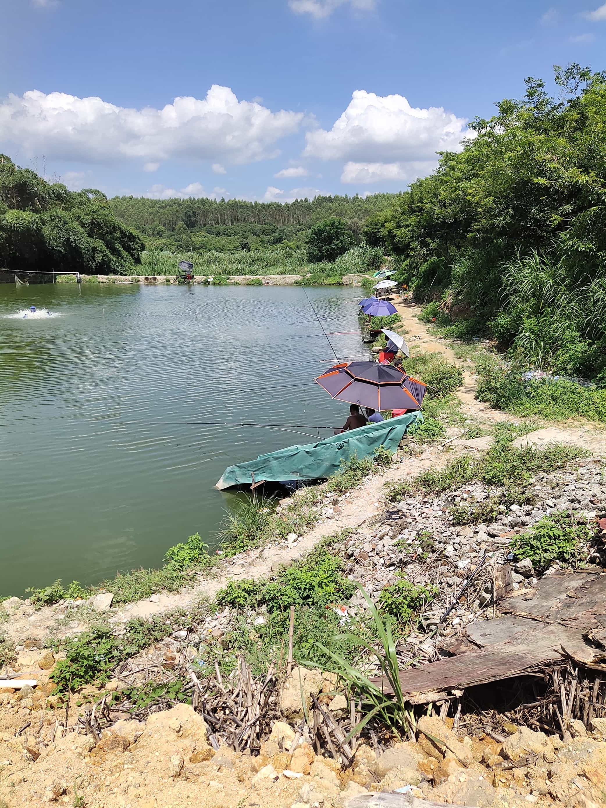 东岭钓鱼场