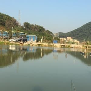 湖尔美合兴钓鱼场