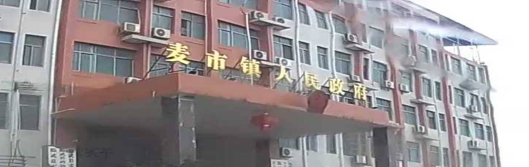 麦市镇人民政府