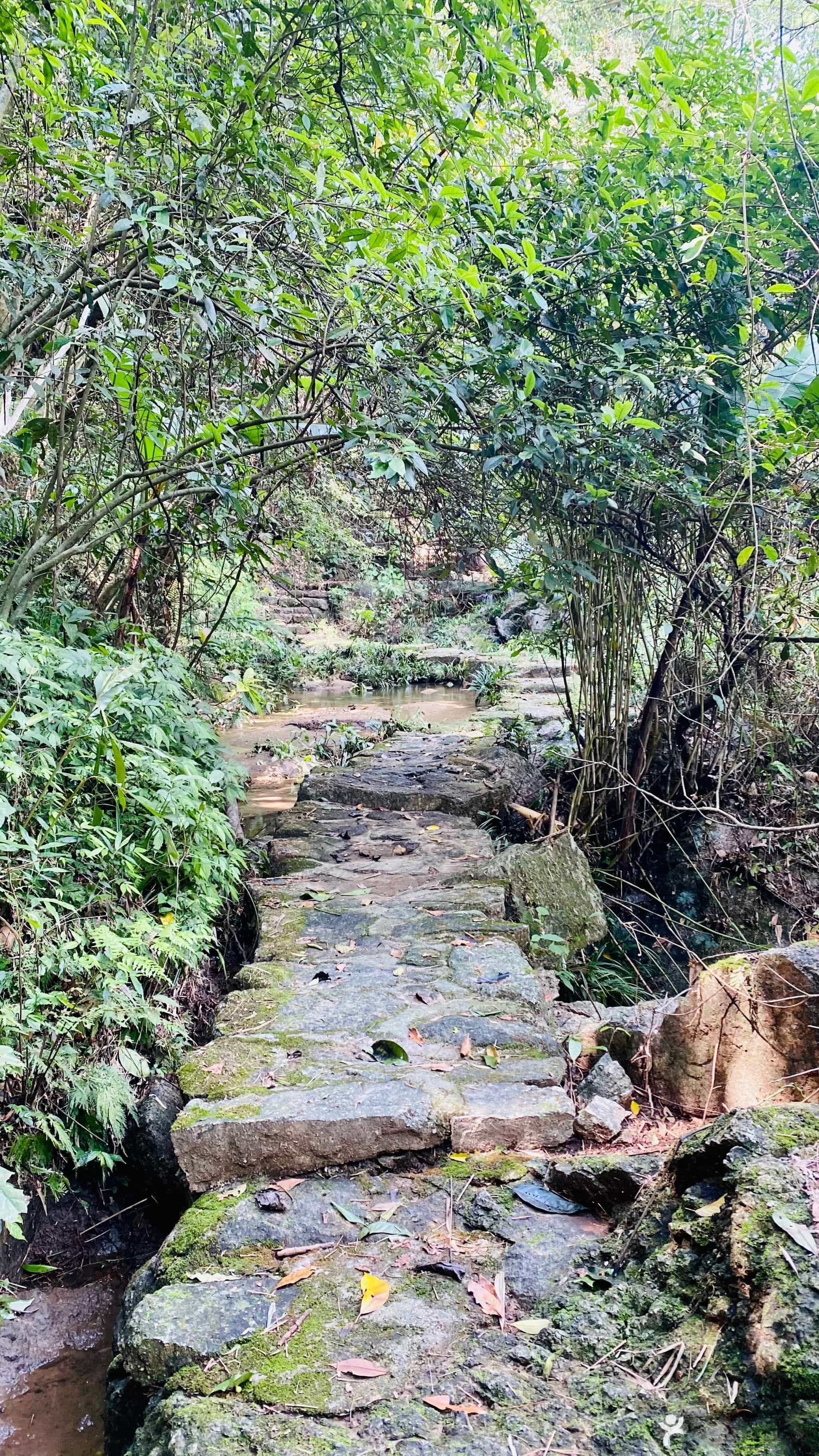 容心谷生态旅游度假区